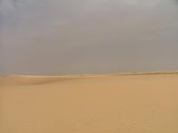 DSCF6586