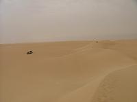DSCF6594