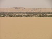 DSCF6602