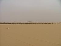 DSCF6603