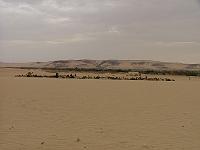 DSCF6615