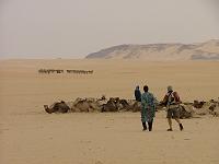 DSCF6620