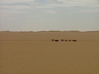 DSCF6652