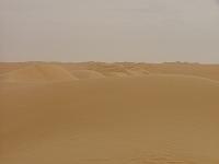 DSCF6654