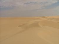DSCF6656