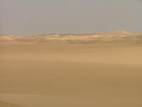 DSCF6657