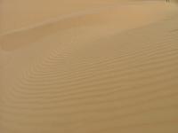 DSCF6660