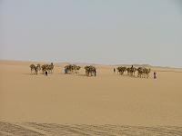 DSCF6664