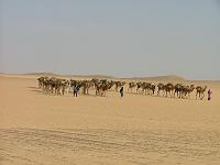 DSCF6667