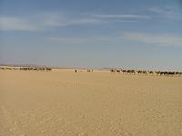 DSCF6671