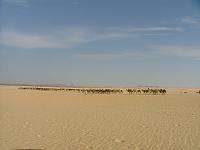 DSCF6672