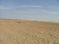 DSCF6676