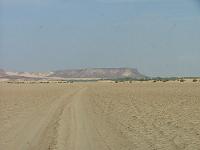 DSCF6677