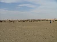 DSCF6681