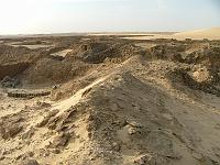DSCF6686