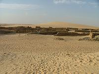 DSCF6698