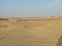 DSCF6706