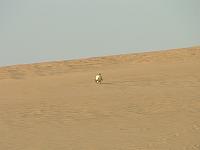 DSCF6711