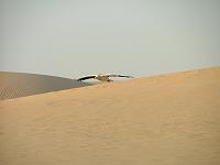 DSCF6713