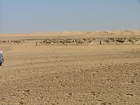 DSCF6724