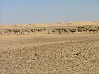 DSCF6725