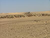 DSCF6726