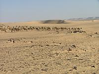 DSCF6727