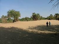 DSCF6730