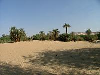 DSCF6731