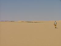 DSCF6749