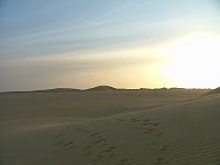 DSCF6761