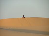 DSCF6764