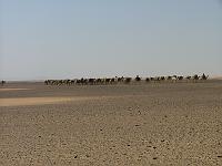 DSCF6782