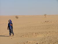 DSCF6785