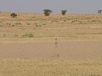 DSCF6799
