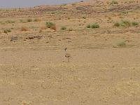 DSCF6804