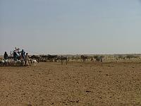 DSCF6810