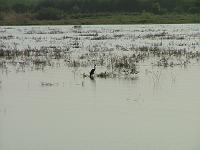 DSCF6844