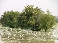 DSCF6889