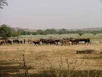 DSCF6893