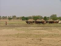 DSCF6895