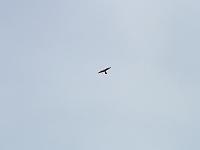 DSCF6898