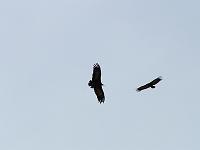 DSCF6899
