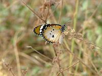 DSCF6901