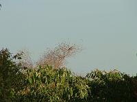 DSCF6919