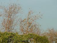 DSCF6922