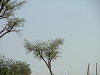 DSCF6926