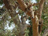 DSCF6944