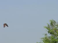 DSCF6945