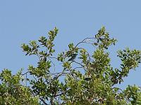 DSCF6948